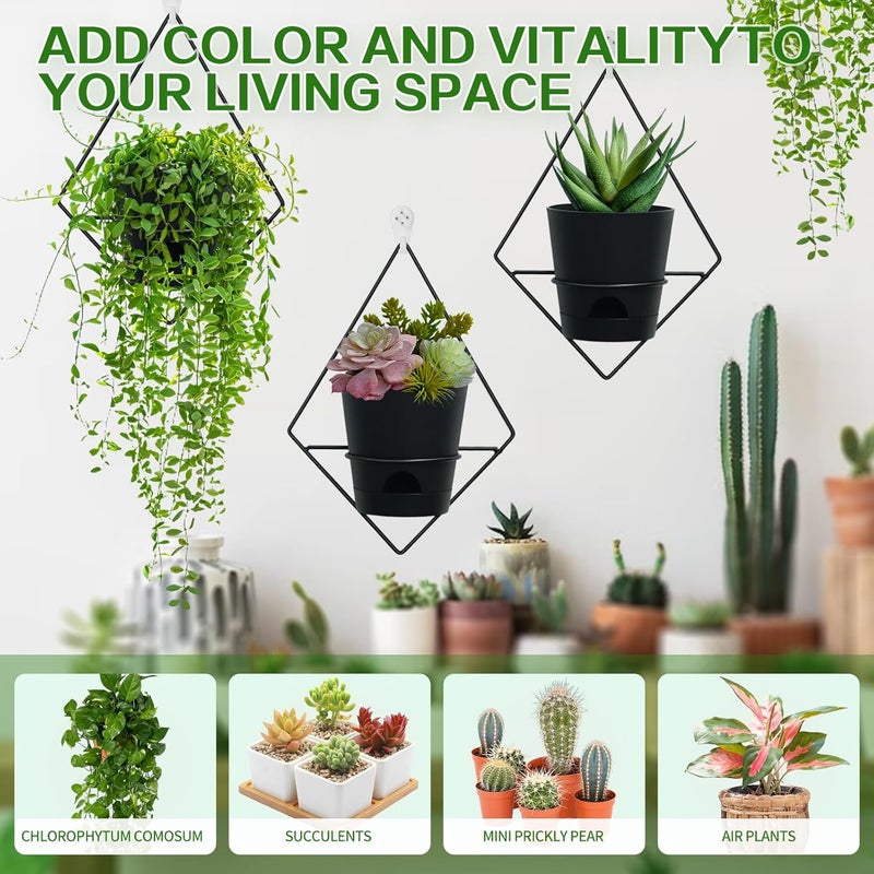 Koalaime 3 Sets Wall Planters for Indoor Plants Geometric Hanging Planters for Indoor Plants - Self-Watering Flower Pots with Black Metal Holder, Mounted Succulent Planter, 5" Black Plant Pot - Image 2